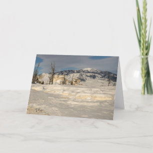 Cartes Pour Fêtes Annuelles Hiver - Noël - Vacances - Yellowstone- Nature