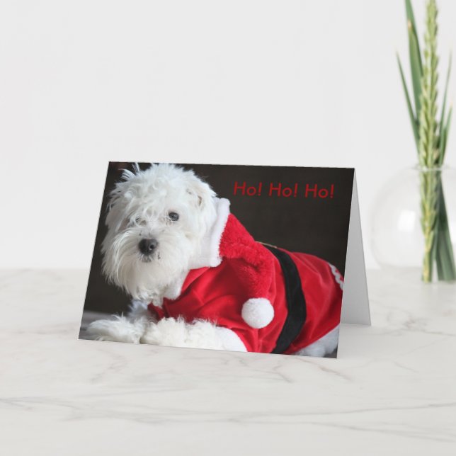 Cartes Pour Fêtes Annuelles Ho ! Ho ! Ho ! du chien de Père Noël (Devant)