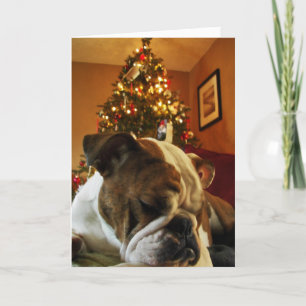 Cartes Pour Fêtes Annuelles HoHoHo Maya