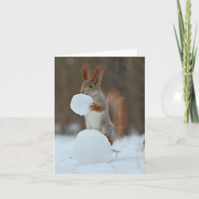 Cartes Pour Fêtes Annuelles Holding d'écureuil et grignotage de boule de neige (Devant)