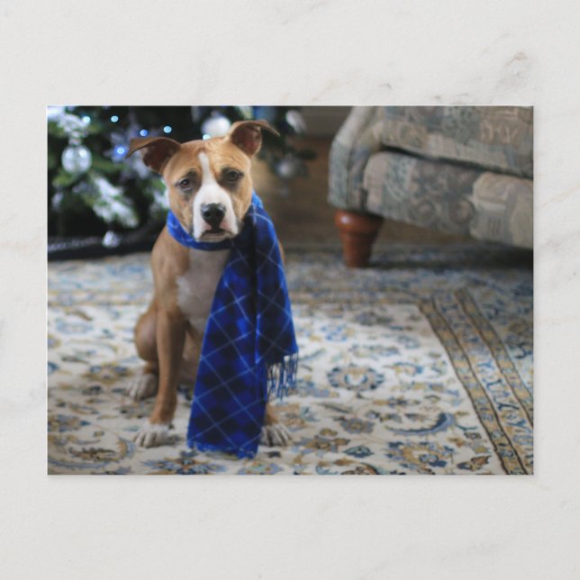 Cartes Pour Fêtes Annuelles Holiday Cheer from Pit Bull Rescue Dog (Devant)
