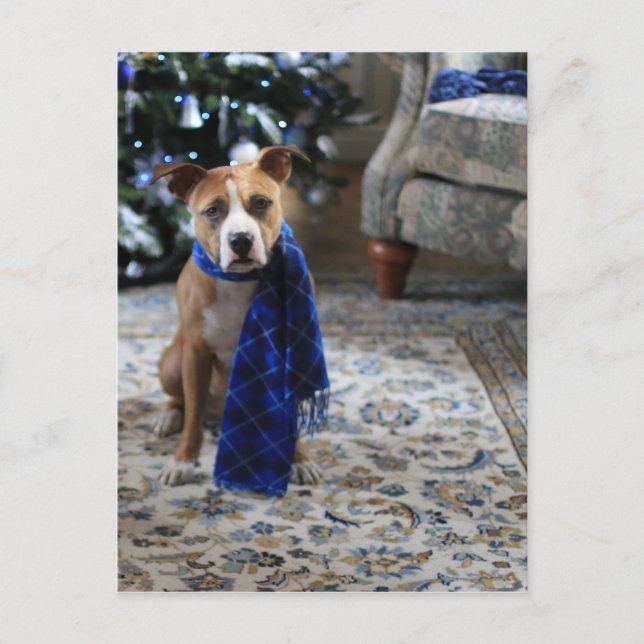 Cartes Pour Fêtes Annuelles Holiday Cheer from Pit Bull Rescue Dog (Devant)