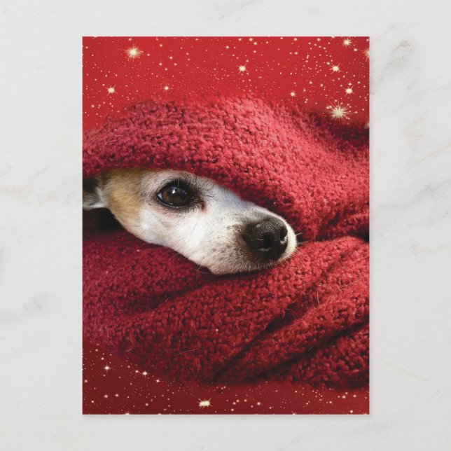 Cartes Pour Fêtes Annuelles Holiday Chihuahua (Devant)