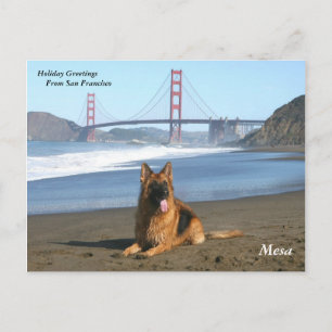 Cartes Pour Fêtes Annuelles Holiday Greetings from San Francisco