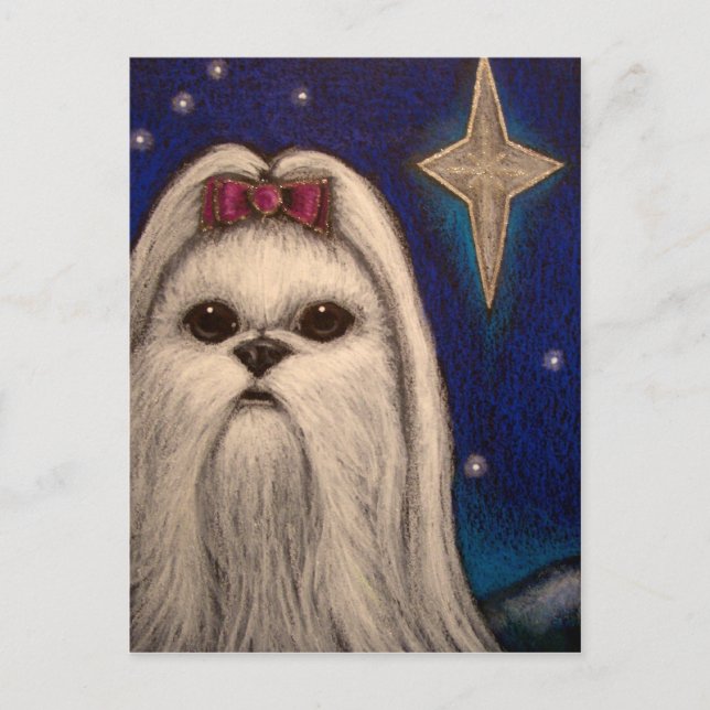 CARTES POUR FÊTES ANNUELLES HOLIDAY MALTESE CHIEN - BELEN STAR 1 (Devant)