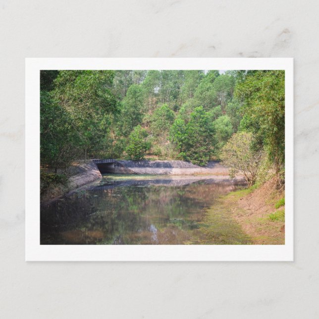 Cartes Pour Fêtes Annuelles Holiday Postcard (Devant)