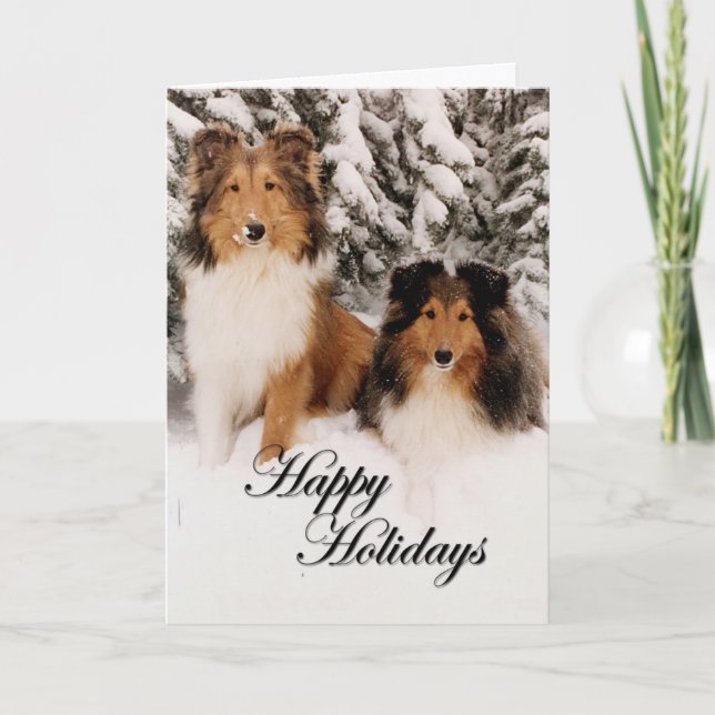 Cartes Pour Fêtes Annuelles Holiday Shelties (Devant)