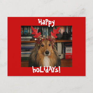 Cartes Pour Fêtes Annuelles HoLiDayS HaPpy