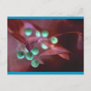 Cartes Pour Fêtes Annuelles Holly