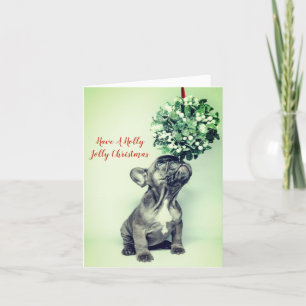 Cartes Pour Fêtes Annuelles Holly Jolly French Bulldog Noël