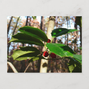 Cartes Pour Fêtes Annuelles Holly Leaves