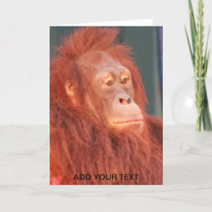 Cartes Pour Fêtes Annuelles Homme de l'aquarelle de la forêt de l'Orangoutan