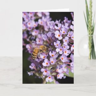 Cartes Pour Fêtes Annuelles HoneyBee on a Butterfly Bush card