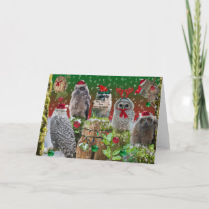 Cartes Pour Fêtes Annuelles Hoo Hoo Joyeux Noël