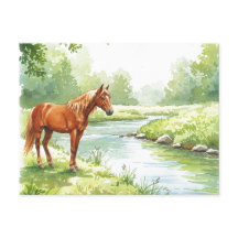 Horse River Peaceful Watercolor Nature Postcard