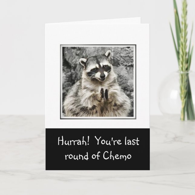 Cartes Pour Fêtes Annuelles Hourra ! Cute Racoon Clapping Funny Dernier Chemo (Devant)
