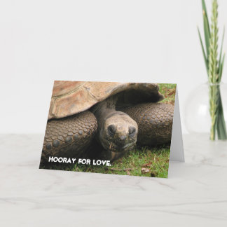 Cartes Pour Fêtes Annuelles Hourra pour l'amour