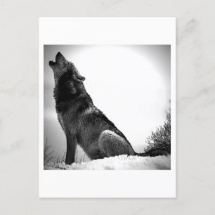Cartes Pour Fêtes Annuelles Howling Wolf in Snow