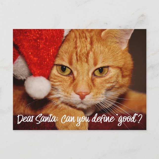 Cartes Pour Fêtes Annuelles Humour Cher Père Noël Définir Bon | Pet Lover (Devant)