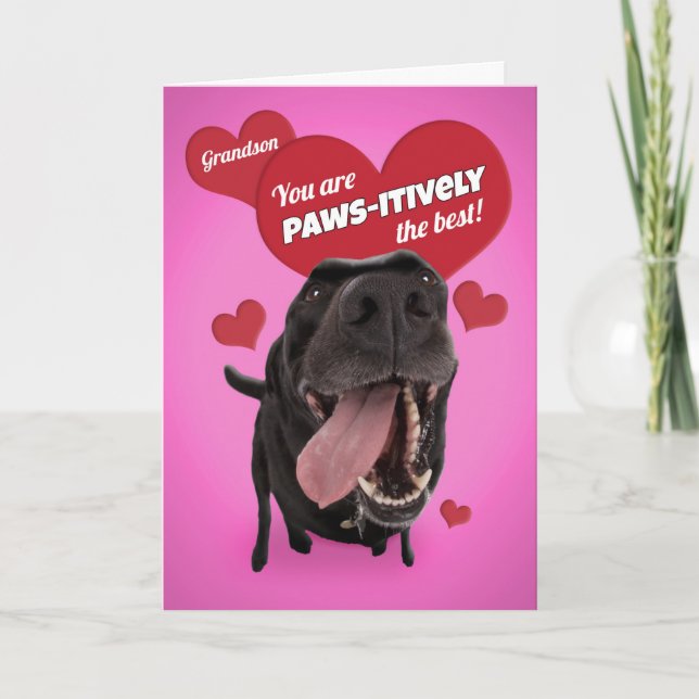 Cartes Pour Fêtes Annuelles Humour de chien amusant de Grandson Heureuse Saint (Devant)