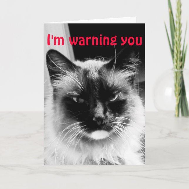 Cartes Pour Fêtes Annuelles Humour de heureuse Sainte-Valentin (Devant)