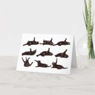 Cartes Pour Fêtes Annuelles Humour de roulement Heureuse Sainte-Valentin sur l