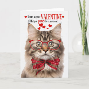 Cartes Pour Fêtes Annuelles Humour Feline Tri Color Tabby Chat Lover Valentine
