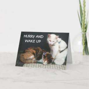 CARTES POUR FÊTES ANNUELLES HURRY AND WAKE UP=THANKSGIVING