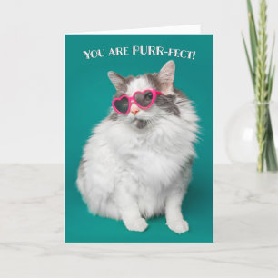 Cartes Pour Fêtes Annuelles I Love You are Purr-fect Cat in Sunglasses