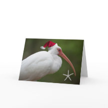 Ibis avec chapeau santa