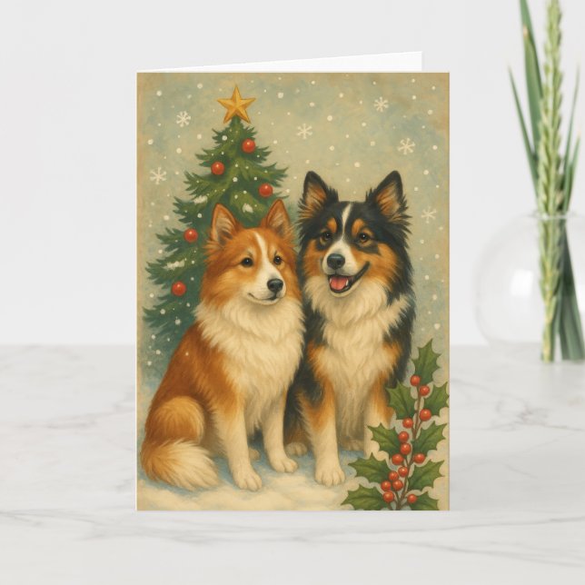 Cartes Pour Fêtes Annuelles Icelandic Sheepdog Christmas Card (Devant)