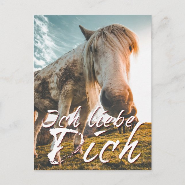 Cartes Pour Fêtes Annuelles Ich liebe dich mit schauenden Pferd (Devant)