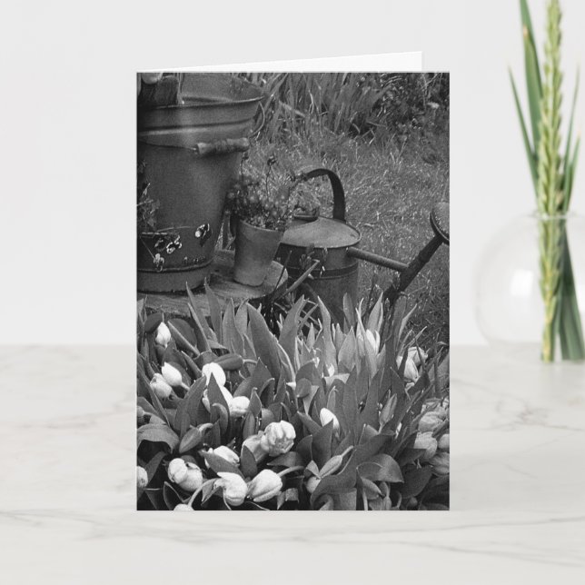 CARTES POUR FÊTES ANNUELLES IFELICES PASCUAS HEUREUX PÂQUES EN ESPAGNOL (Devant)