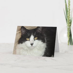 Cartes Pour Fêtes Annuelles Il est temps que vous arriviez à la maison/Humour 