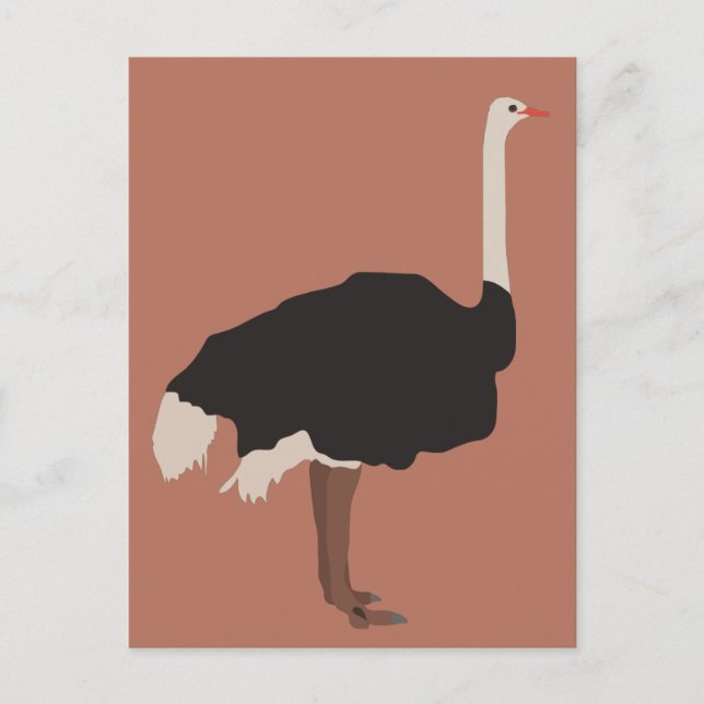 Cartes Pour Fêtes Annuelles Illustration d'Ostrich Bird (Devant)