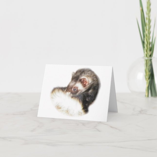 Cartes Pour Fêtes Annuelles Image du Ferret de l'able (Devant)
