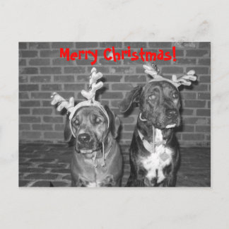 Cartes Pour Fêtes Annuelles IMG_3721_2, Joyeux Noël !