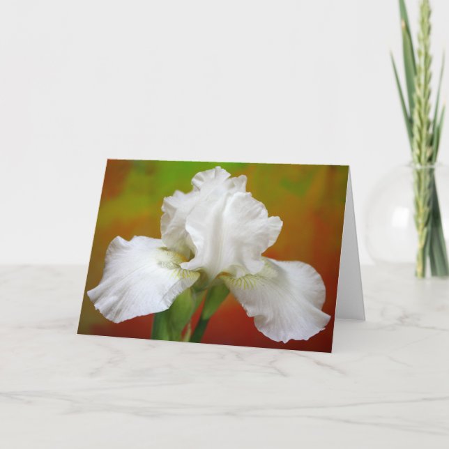 Cartes Pour Fêtes Annuelles "Immortalité" Iris Photographie (Devant)