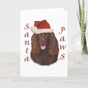 Cartes Pour Fêtes Annuelles Irlandais Water Spaniel Père Noël Paws