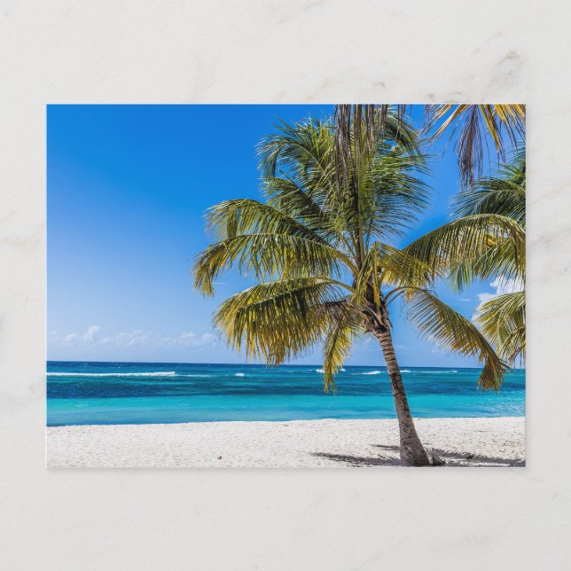 Cartes Pour Fêtes Annuelles Isla Saona Beach République dominicaine cadeau Pos (Devant)