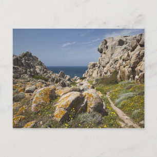 Cartes Pour Fêtes Annuelles Italie, Sardaigne, Père Noël Teresa Gallura. Capo