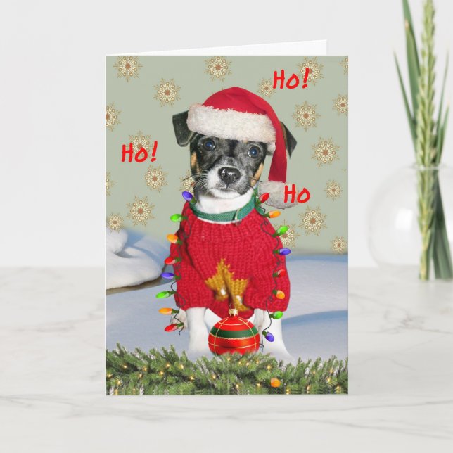 Cartes Pour Fêtes Annuelles Jack Russell Rat Terrier Mix Joyeux Noël (Devant)