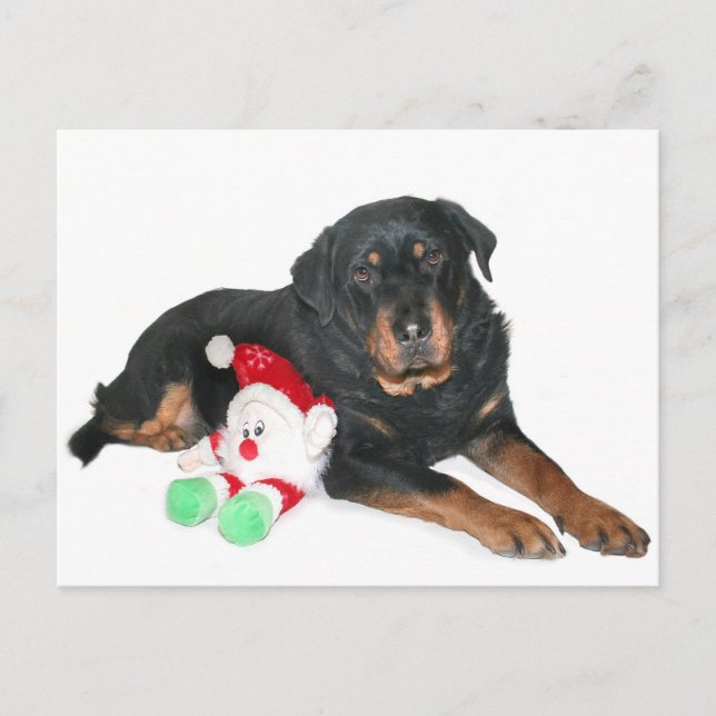 Cartes Pour Fêtes Annuelles J'ai été bon Père Noël (Devant)