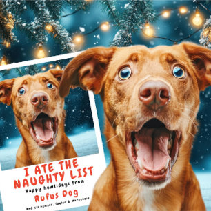 Cartes Pour Fêtes Annuelles J'Ai Mangé Le Chien De La Liste Coquine Photo De N