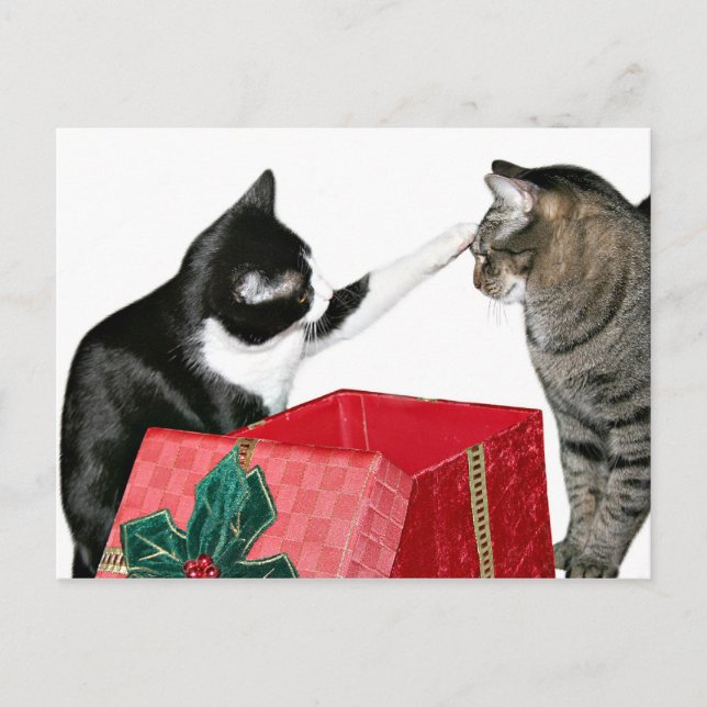 Cartes Pour Fêtes Annuelles jalousie de Noël (Devant)