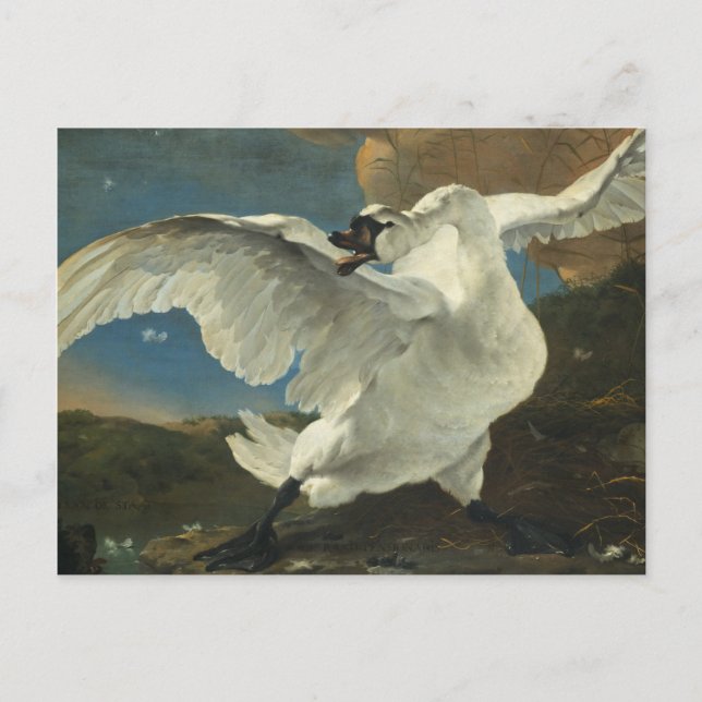 Cartes Pour Fêtes Annuelles Jan Asselyn - Le cygne menacé (Devant)