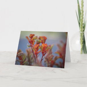 Cartes Pour Fêtes Annuelles Jardin de Noël désert plante rouge vert