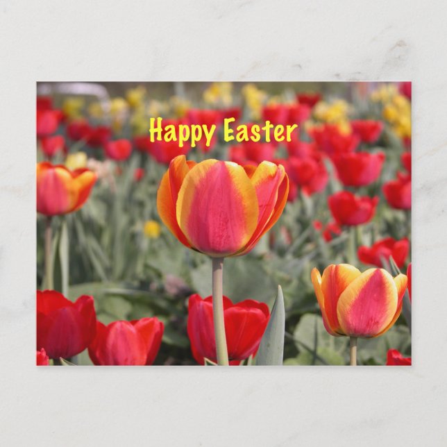 Cartes Pour Fêtes Annuelles Jardin de Tulip Joyeux Pâques (Devant)
