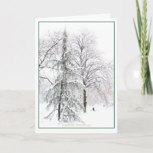 Cartes Pour Fêtes Annuelles Jardin public de Boston : Holiday Yuletide
