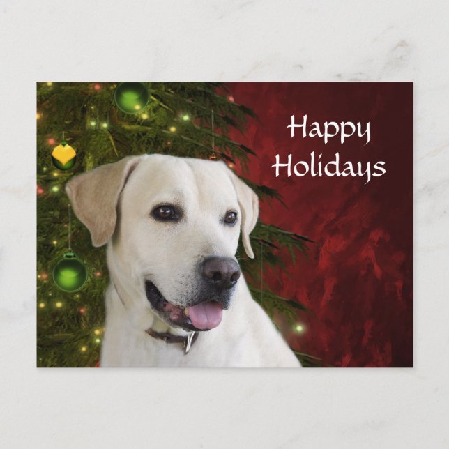 Cartes Pour Fêtes Annuelles Jaune labrador récupérateur Noël (Devant)